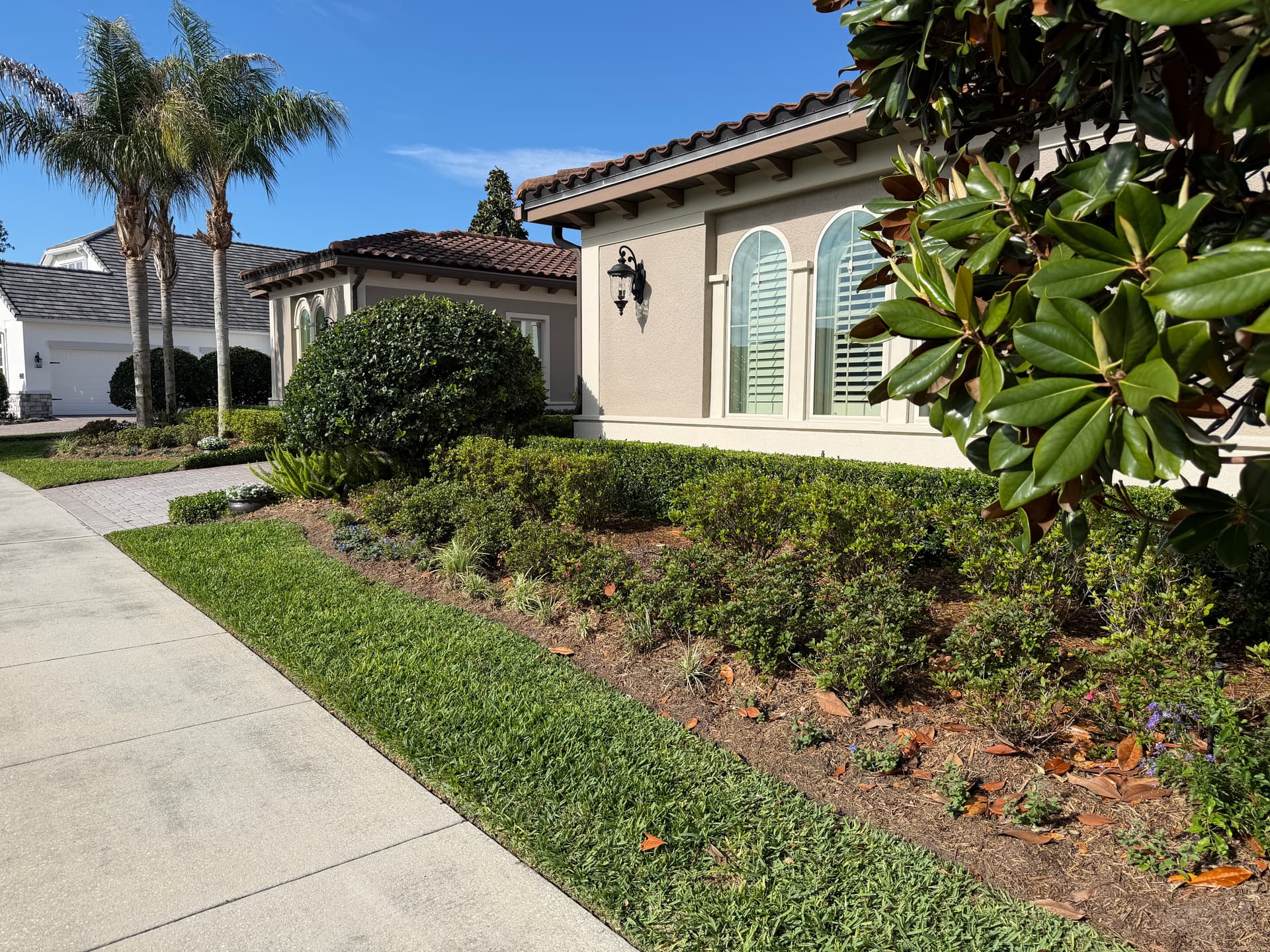 Mediterranean home with manicured shrub border and palms