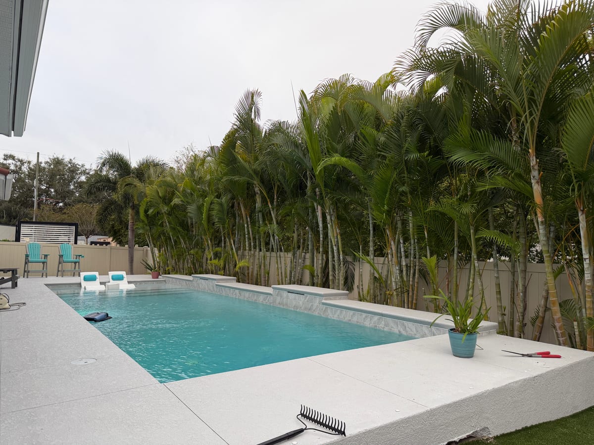 Front-yard landscape with palm and trimmed bedding
