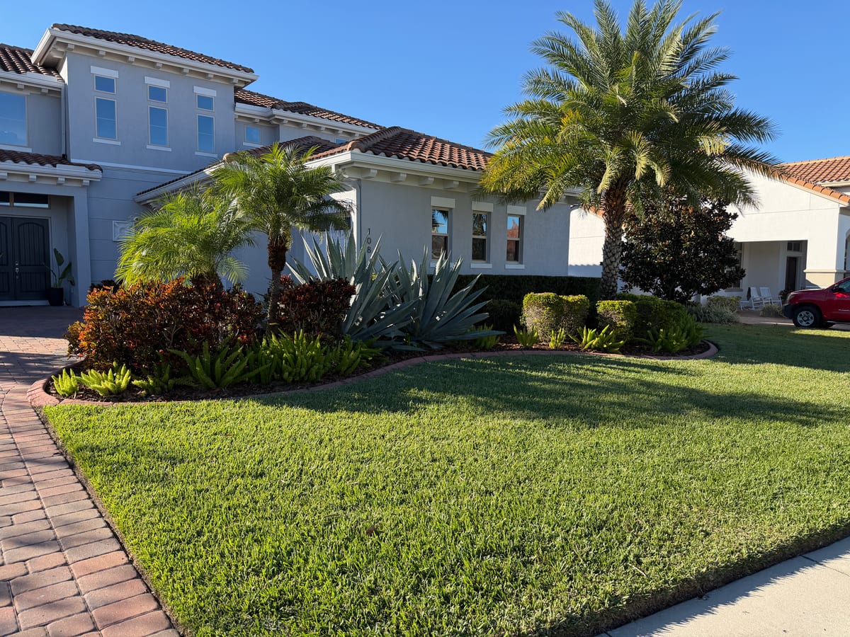 Single-story Florida home with palm-trimmed front yard and lush turf