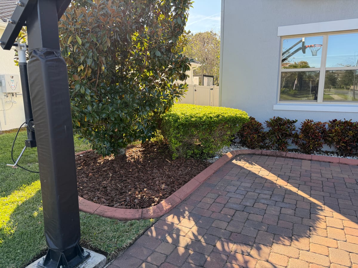 Florida residential landscape detail