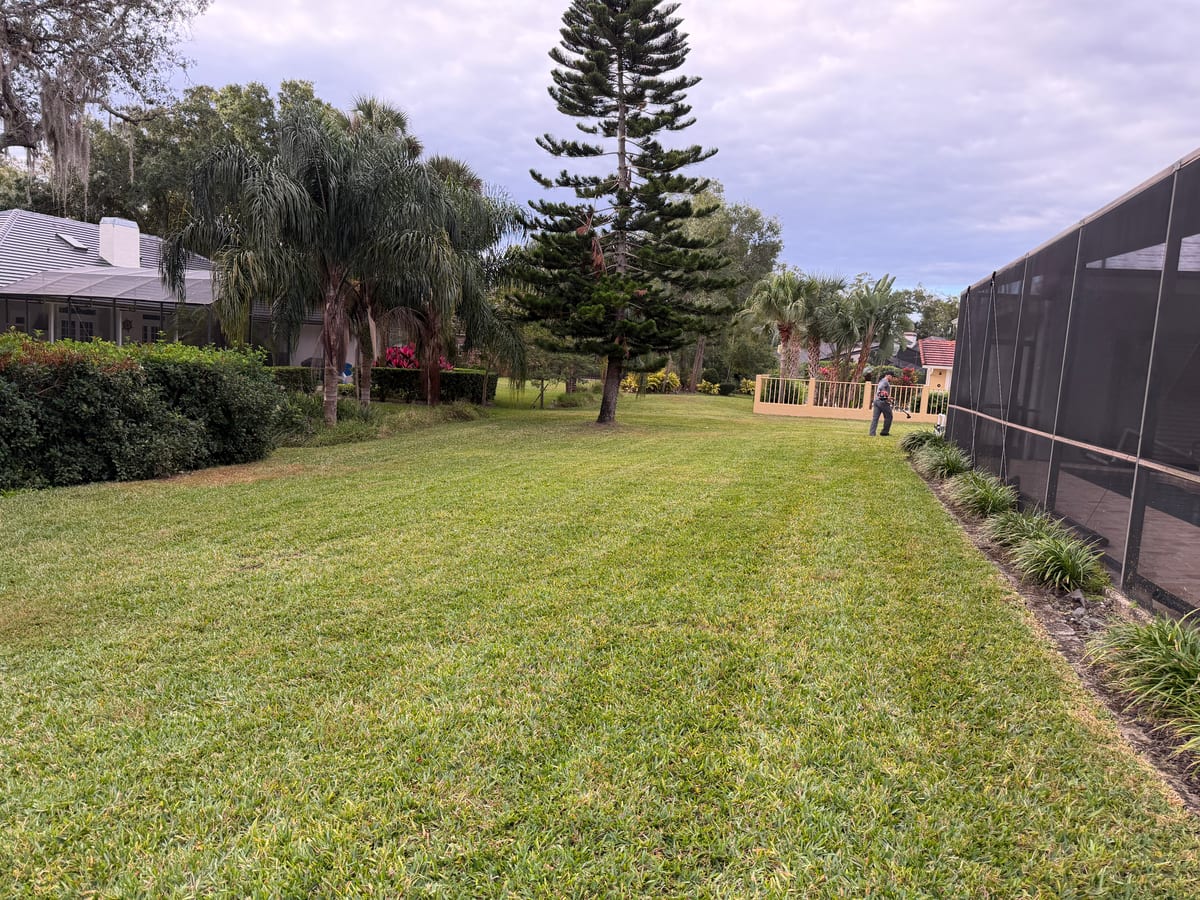 Residential landscape and walkway