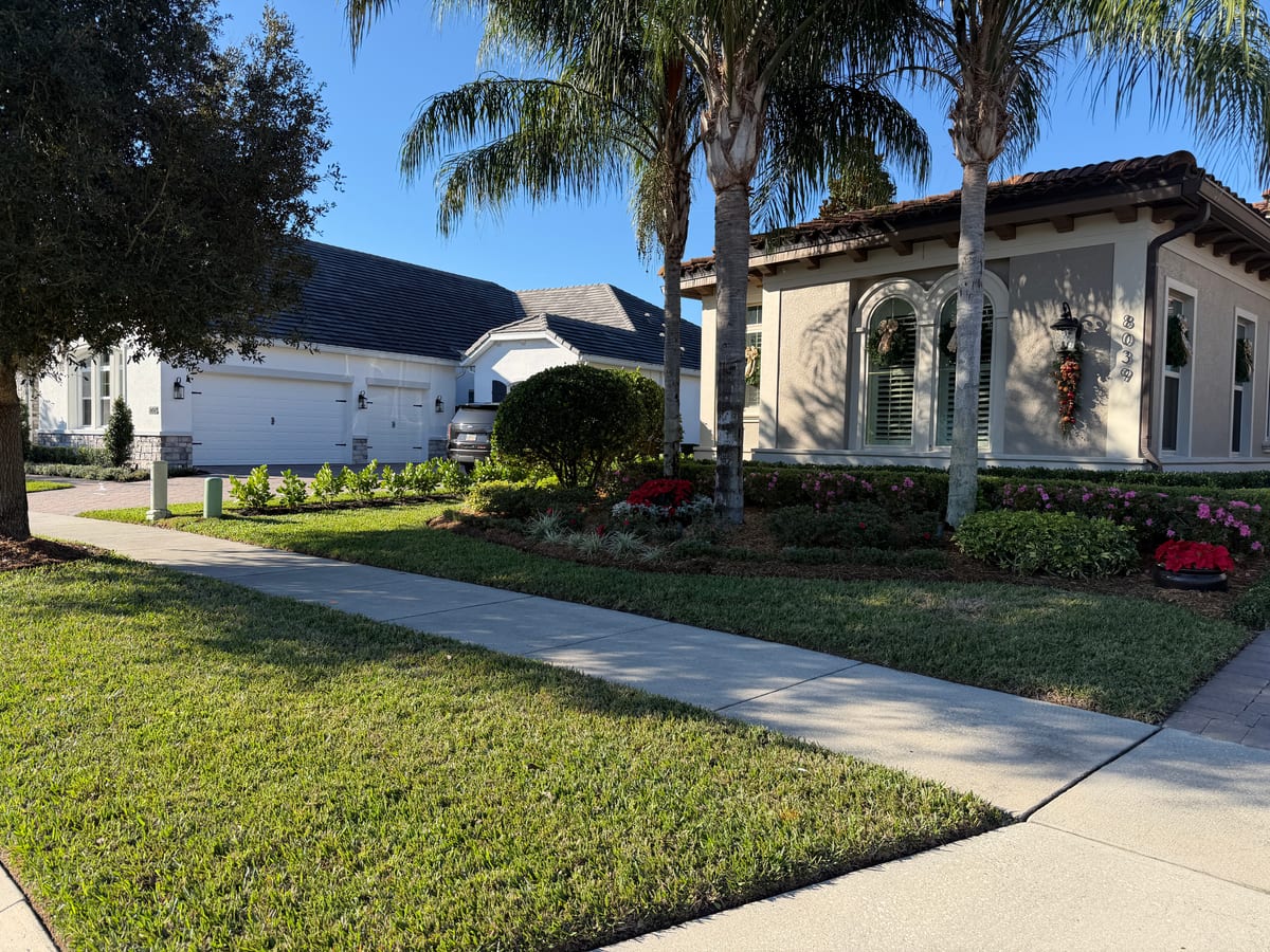 Tropical Mediterranean-style home framed by mature palms