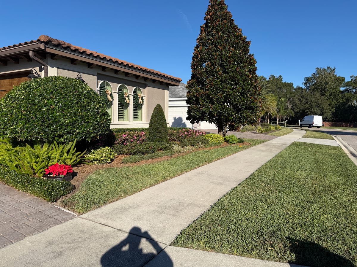Florida property — landscape view