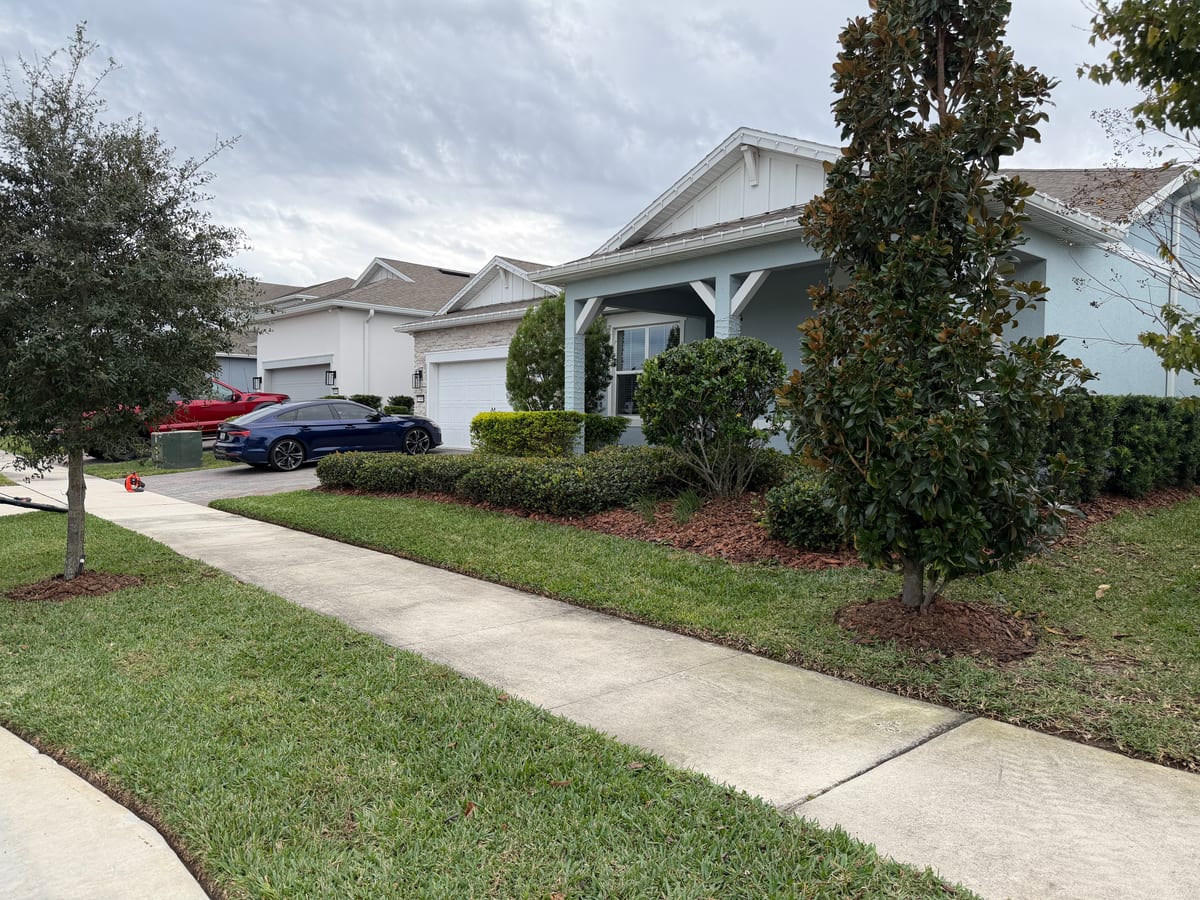 Florida property — landscape view