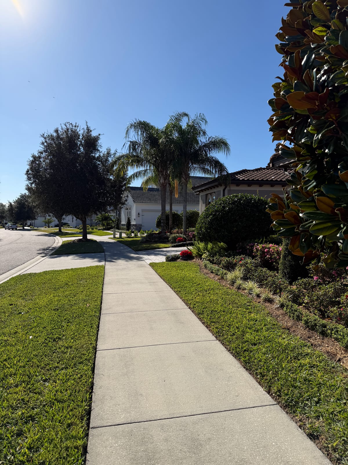 Florida property — landscape view