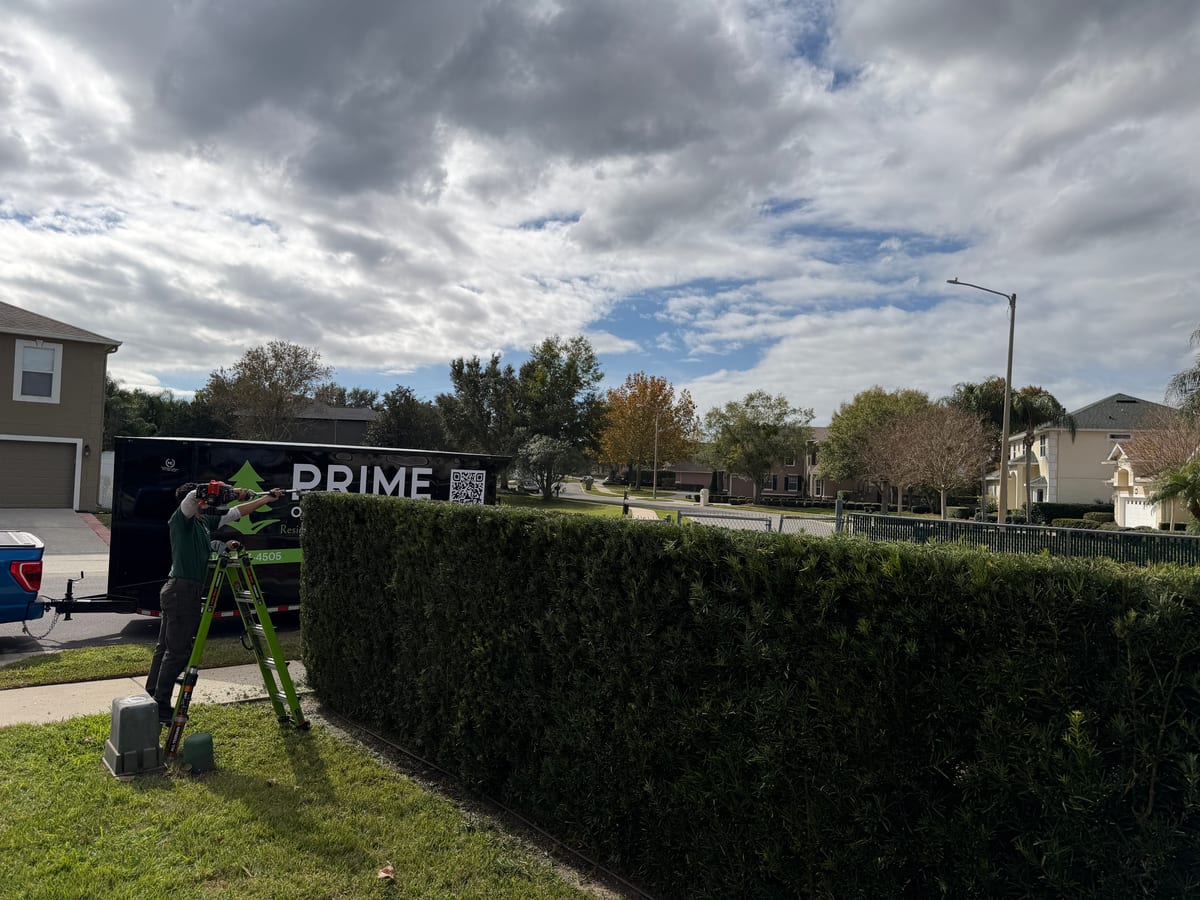 Florida property — landscape view