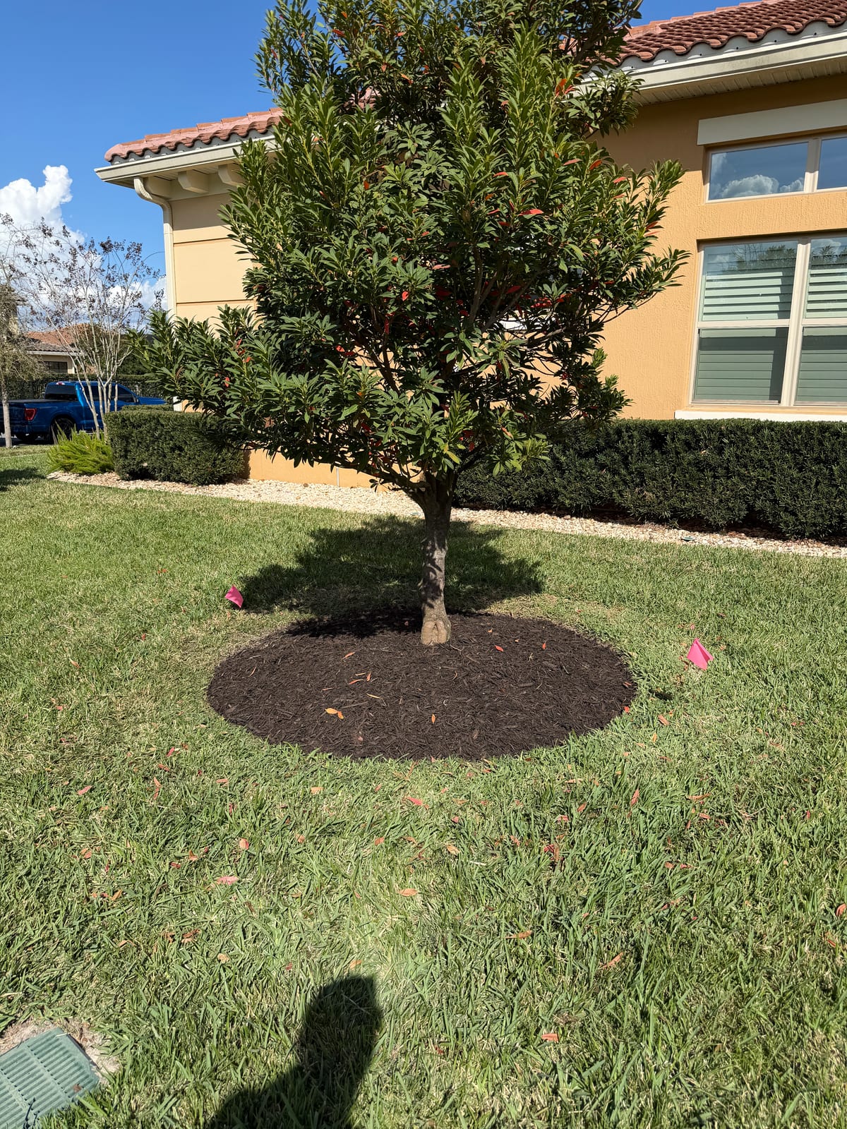 Florida property — landscape view